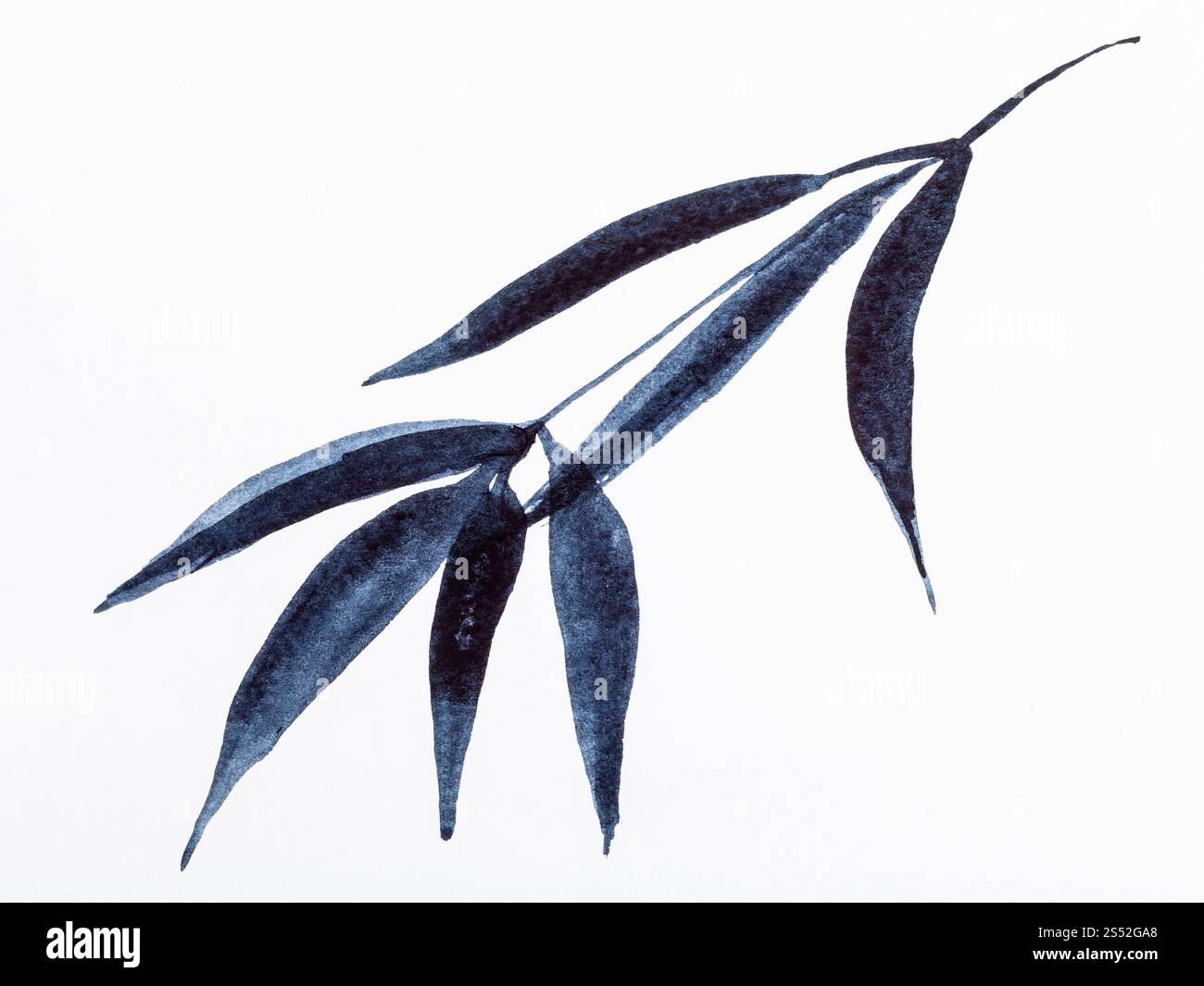 Peinture à la main de style sumi-e sur papier blanc - Direction générale de bambou tirées par l'aquarelle noire Banque D'Images