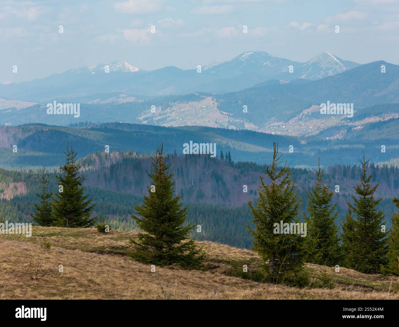 Début du printemps mountain hill avec chemin de randonnée route sale et des sapins par temps nuageux. L'Ukraine, des Carpates. Banque D'Images