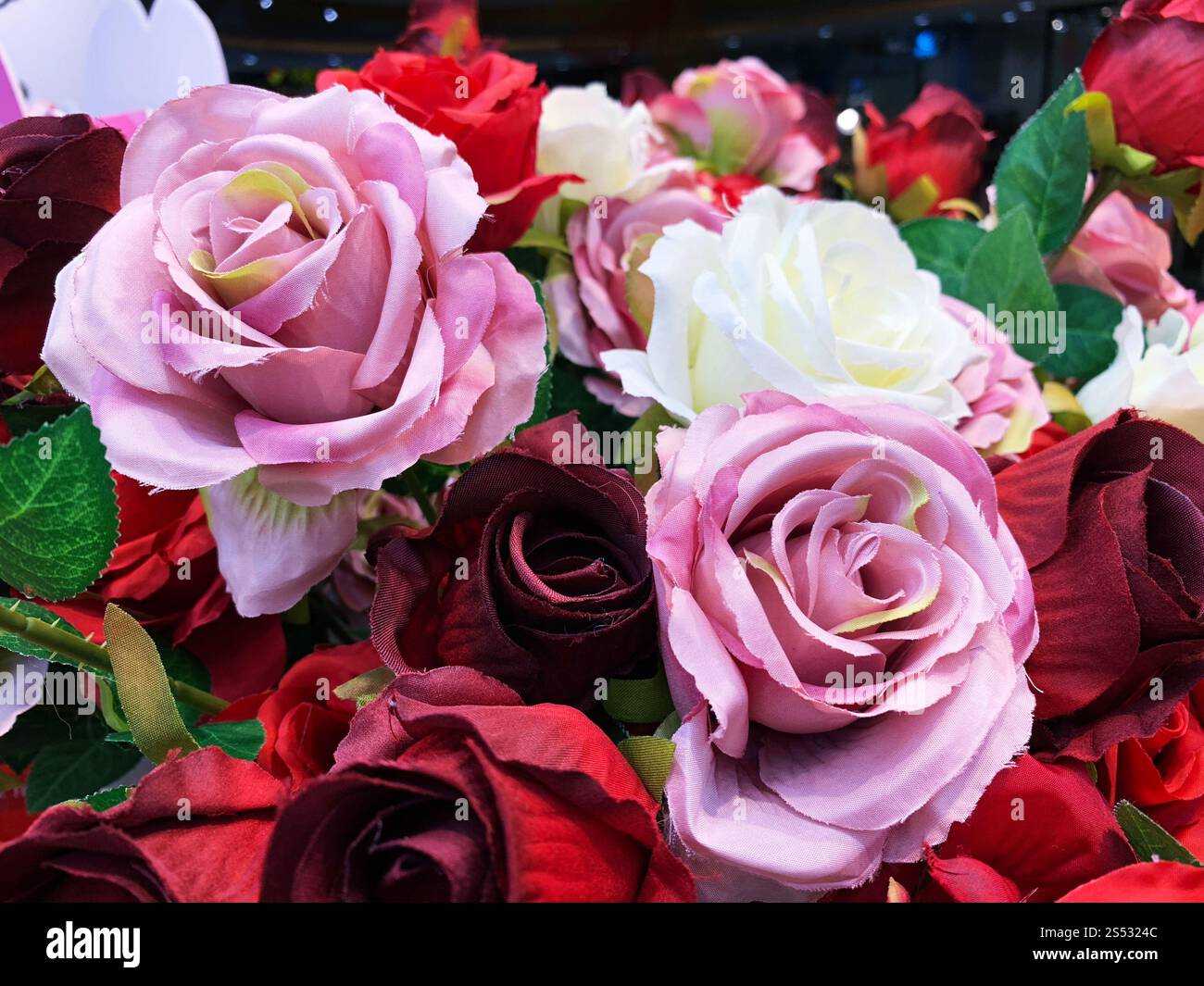 Roses roses naturelles Banque D'Images