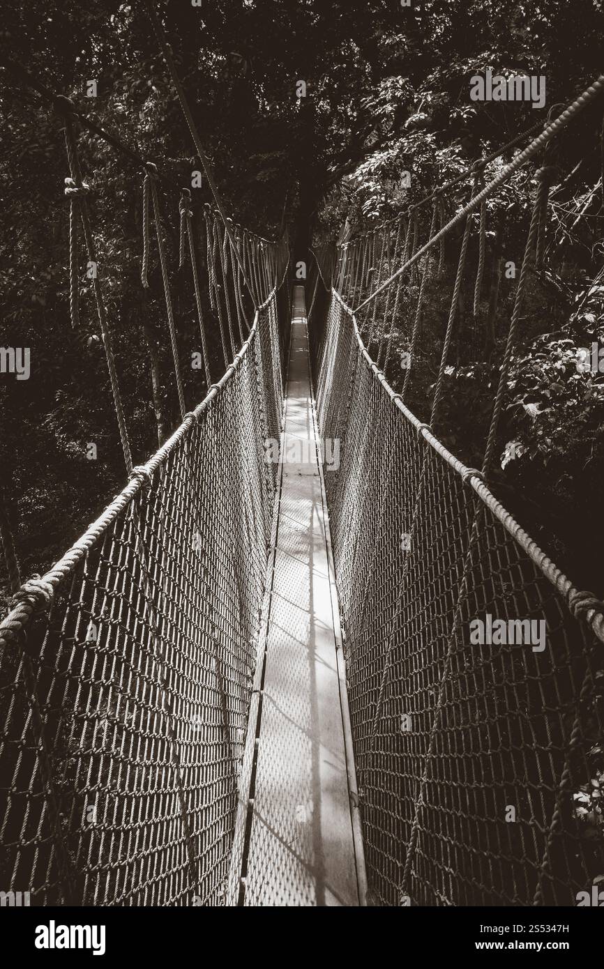 Pont suspendu dans le parc national Taman Negara, Malaisie. Pont suspendu, parc national Taman Negara, Malaisie Banque D'Images