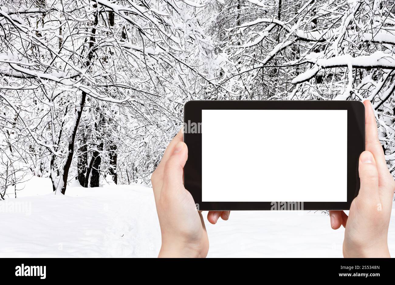 Concept de voyage - photographies touristiques de chemin dans la neige dans le parc de la ville enneigée en hiver dans la ville de Moscou sur smartphone avec écran de découpe vide avec blanc Banque D'Images