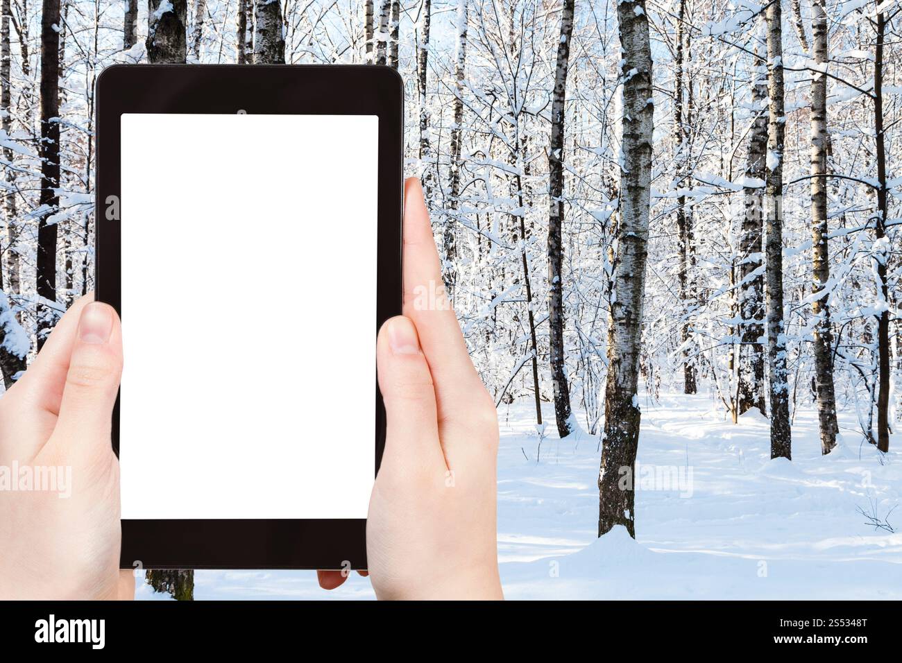 Concept de voyage - photographies touristiques de troncs d'arbres dans le parc de la ville enneigée en hiver dans la ville de Moscou sur smartphone avec écran de découpe vide avec blanc Banque D'Images