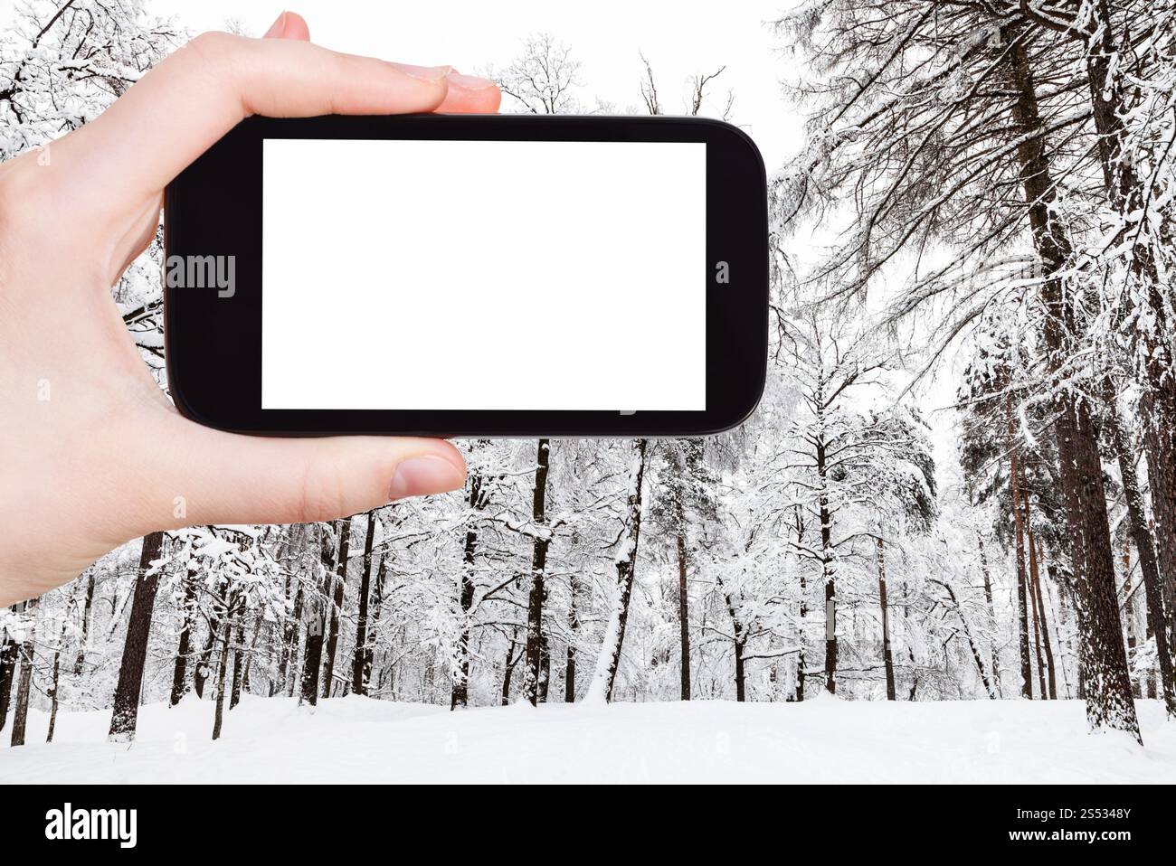 Concept de voyage - photographies touristiques de prairie enneigée dans le parc de la ville en hiver dans la ville de Moscou sur smartphone avec écran de découpe vide avec blanc Banque D'Images