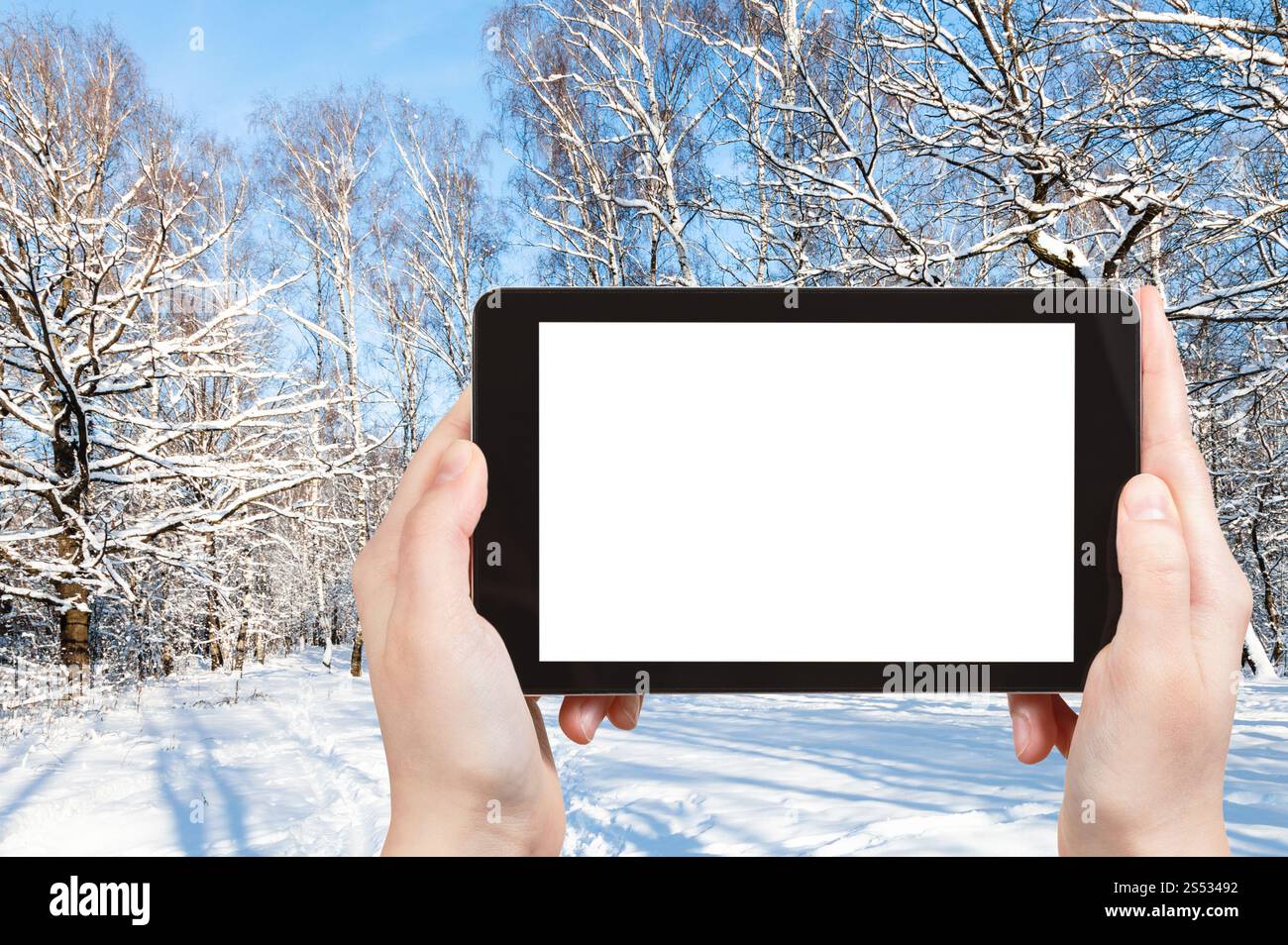 Concept de voyage - photographies touristiques de clairière forestière dans le parc de la ville en hiver dans la ville de Moscou sur smartphone avec écran de découpe vide avec place vide Banque D'Images