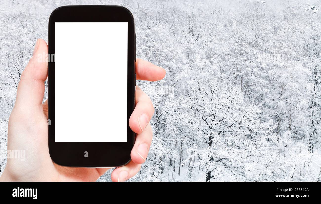 Concept de voyage - photographies touristiques de vue panoramique de chêne couvert de neige dans le parc de la ville en hiver dans la ville de Moscou sur smartphone avec vide Banque D'Images
