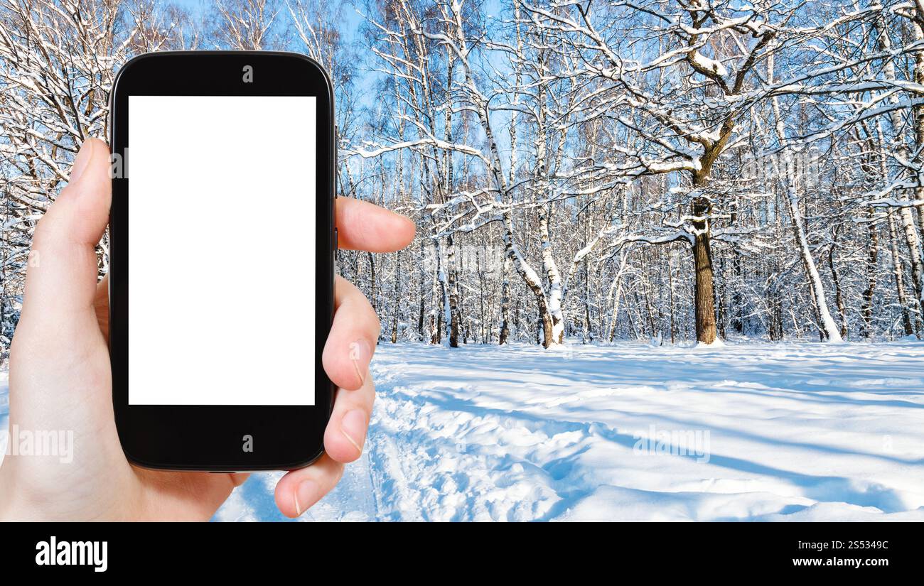 Concept de voyage - photographies touristiques de vue panoramique de clairière forestière dans le parc de la ville en hiver dans la ville de Moscou sur smartphone avec écran de découpe vide Banque D'Images