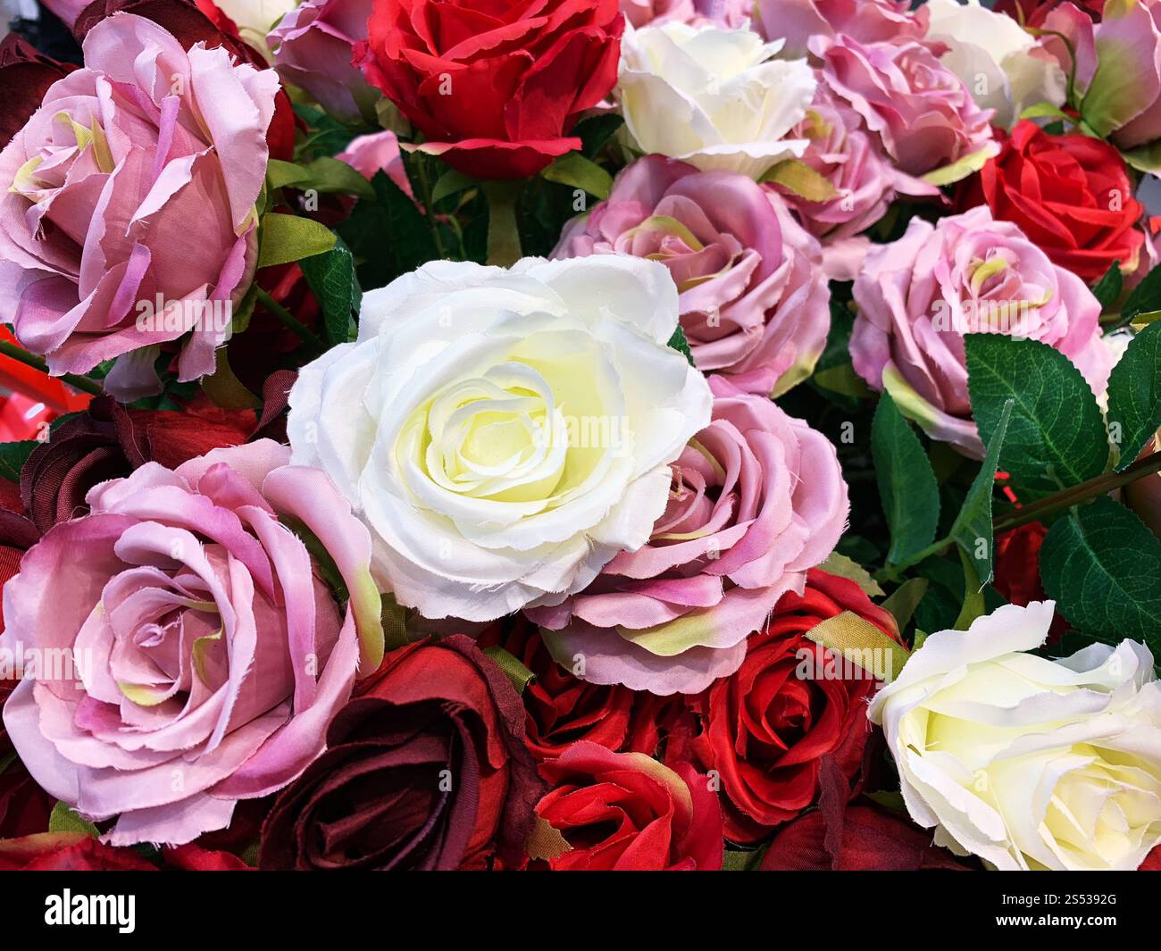 Roses roses naturelles Banque D'Images