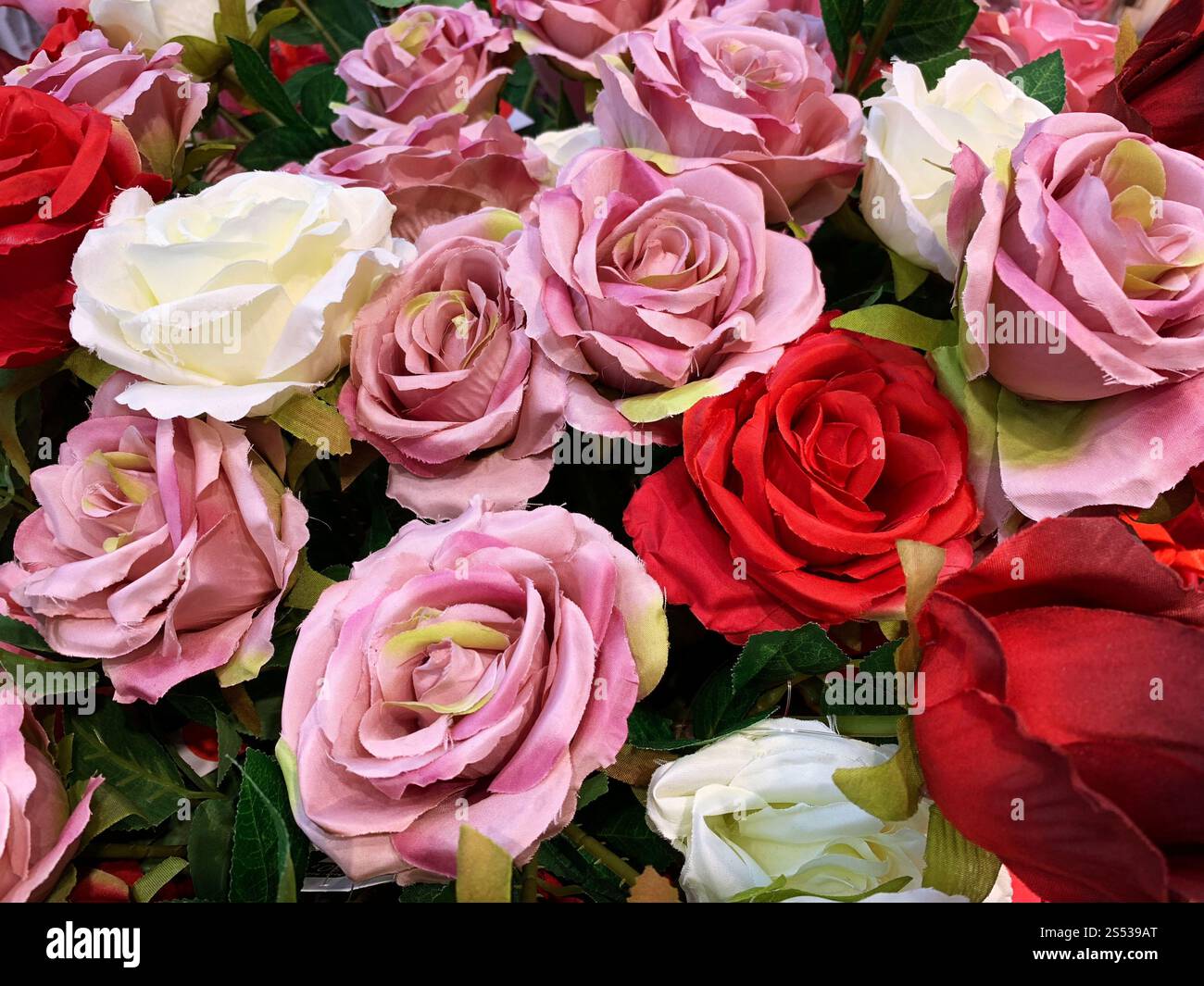 Roses roses naturelles Banque D'Images