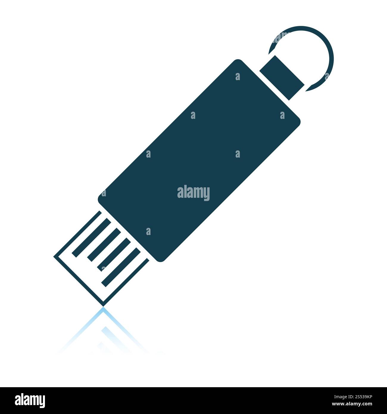 L'icône flash USB. Reflet de l'ombre. Vector illustration. Banque D'Images