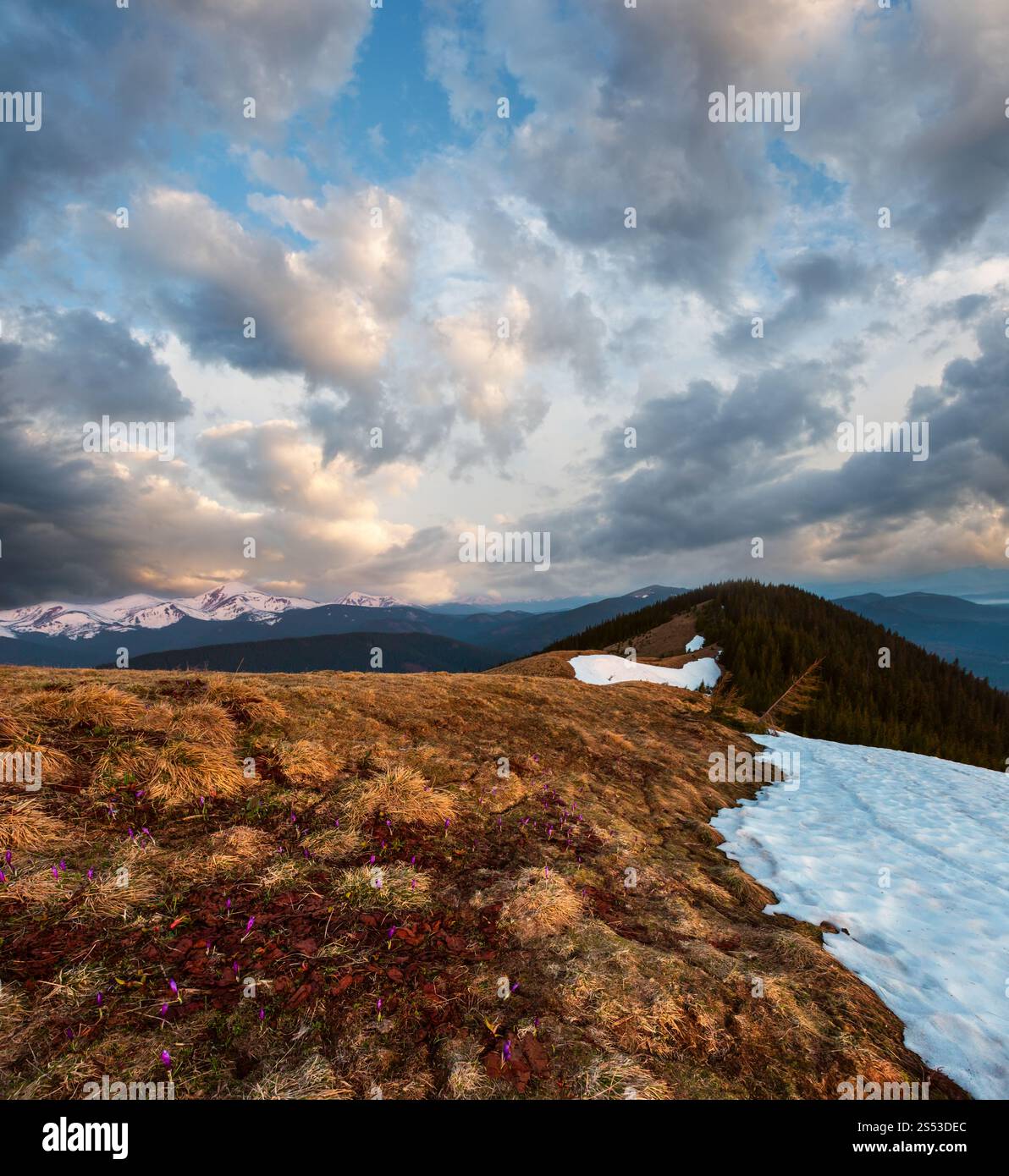 Lever de soleil coloré au printemps paysage montagnes des Carpates, l'Ukraine, l'Europe. Banque D'Images