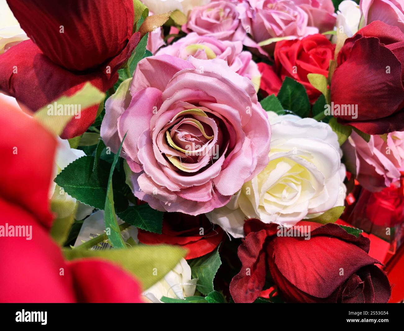 Roses roses naturelles Banque D'Images