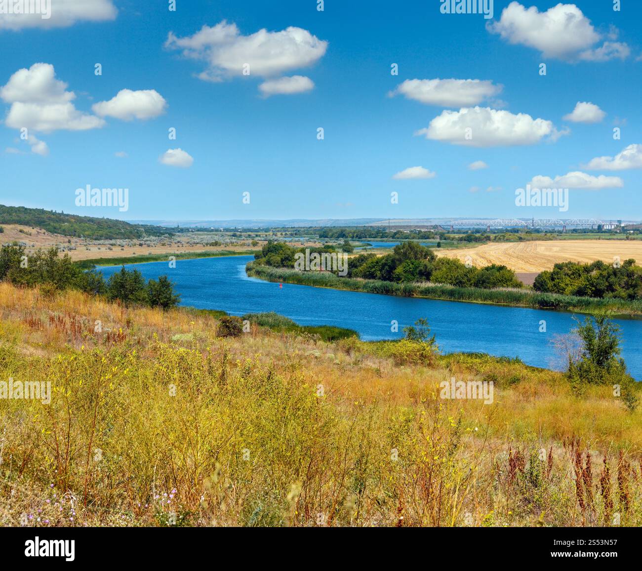 Basses-terres de la rivière Bug du Sud l'été près de Rakove (rivière des écrevisses dans la traduction de la langue ukrainienne), village de Mykolaïv, Ukraine. Banque D'Images