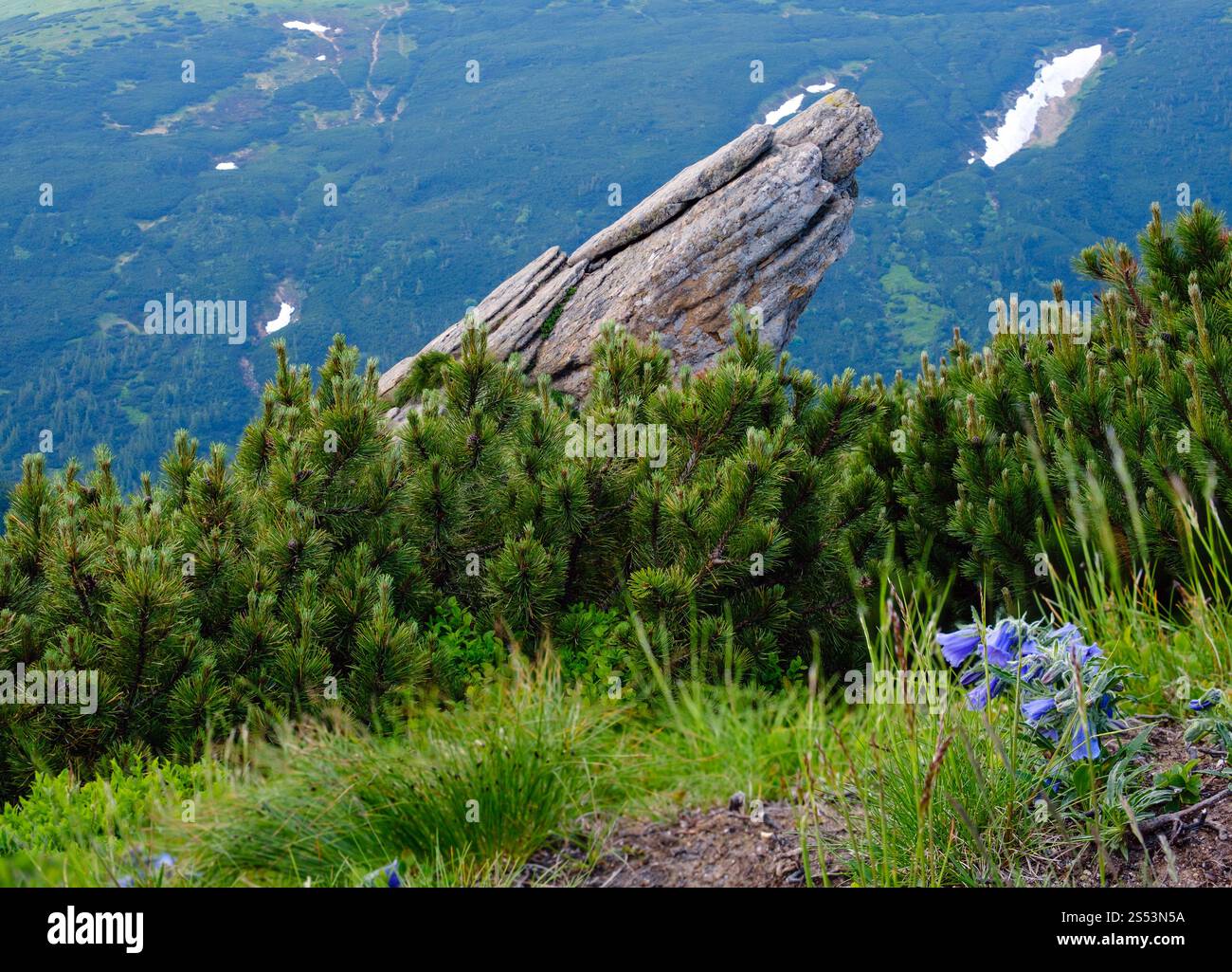 Gros rocher sur rocky mountain Ridge, l'été, des Carpates, Vuhatyj Kaminj Chornohora, Ukraine. Banque D'Images