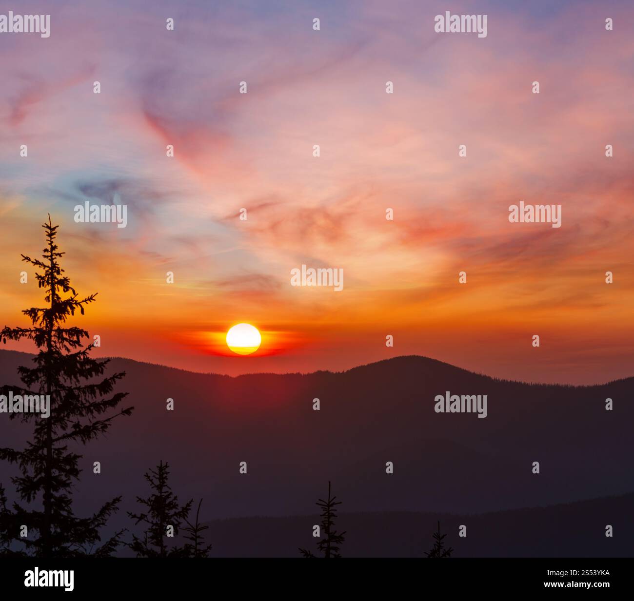 Lever de soleil coloré au printemps paysage montagnes des Carpates, l'Ukraine, l'Europe. Banque D'Images