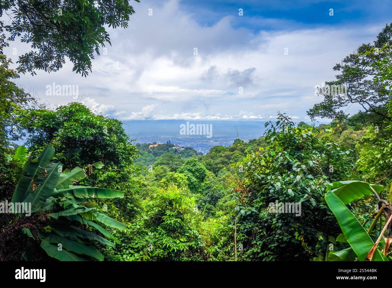Chiang mai ville, montagnes et paysage de jungle, Thaïlande. Chiang mai, montagnes et paysage de jungle, Thaïlande Banque D'Images