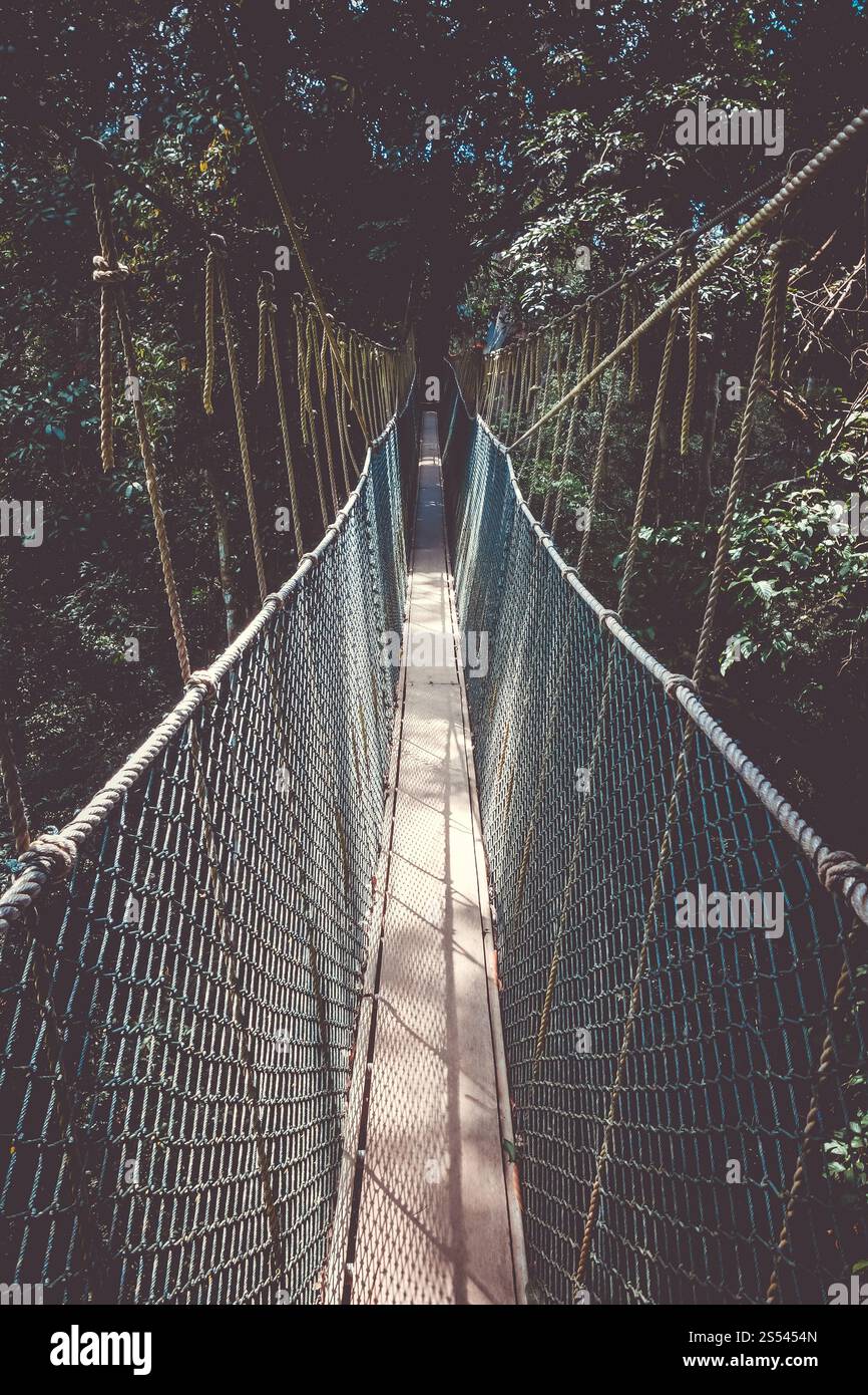 Pont suspendu dans le parc national Taman Negara, Malaisie. Pont suspendu, parc national Taman Negara, Malaisie Banque D'Images