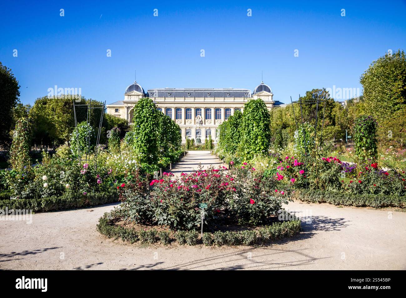 Jardin des plantes jardin botanique et musée, Paris, France. Parc et musée du jardin des plantes, Paris, France Banque D'Images