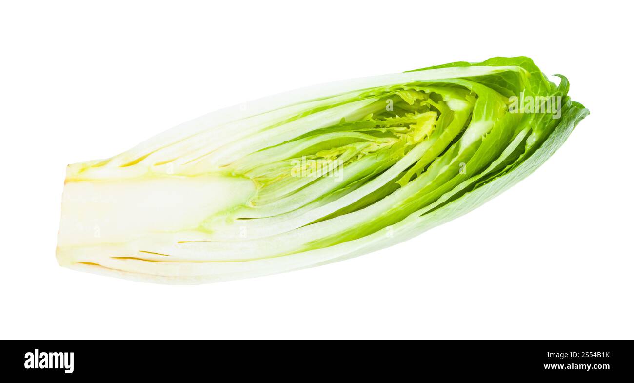 Coupe transversale d'endives belges (chicorée commune blanche) isolées sur fond blanc. Coupe transversale d'endives belges (chicorée) isolées Banque D'Images