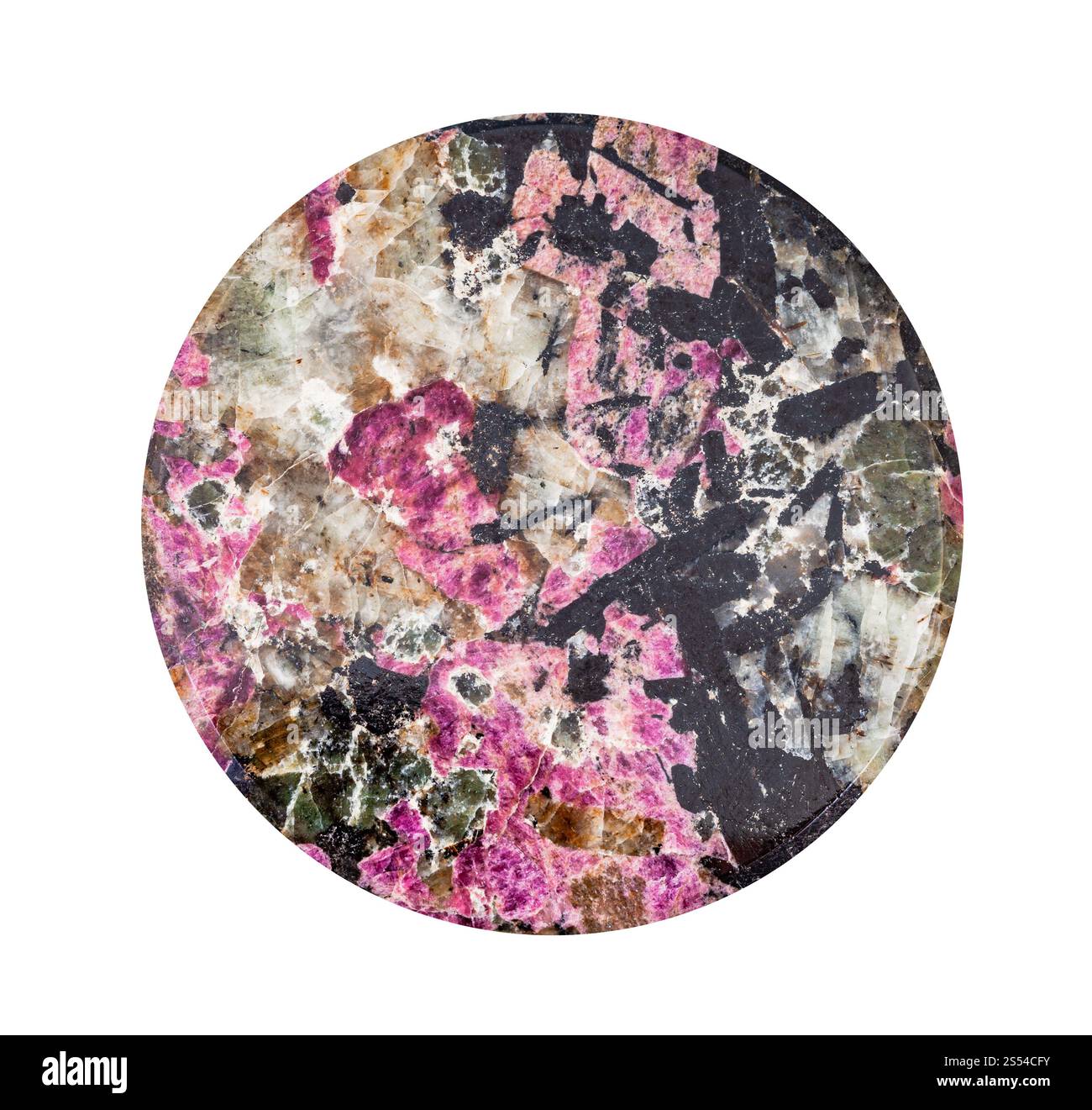 cercle poli de roche de syénite naturelle (lujaurite) avec du minéral d'eudialyte violet et des cristaux d'aegirine noir isolés sur fond blanc. cercle Banque D'Images