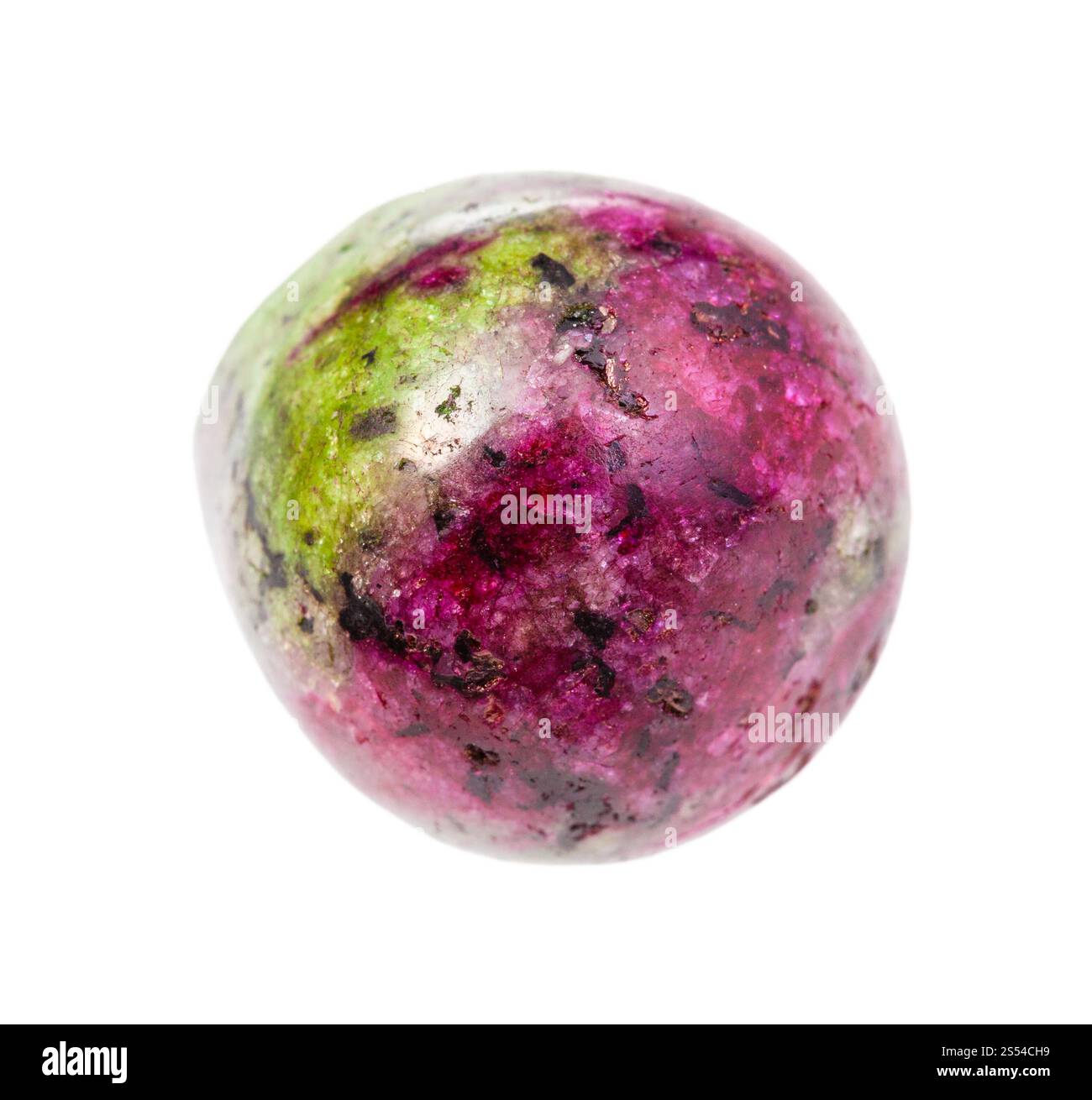 Gros plan de l'échantillon de minéral naturel de la collection géologique - zoisite polie (anyolite) pierre précieuse isolée sur fond blanc. Zoisite polie Banque D'Images