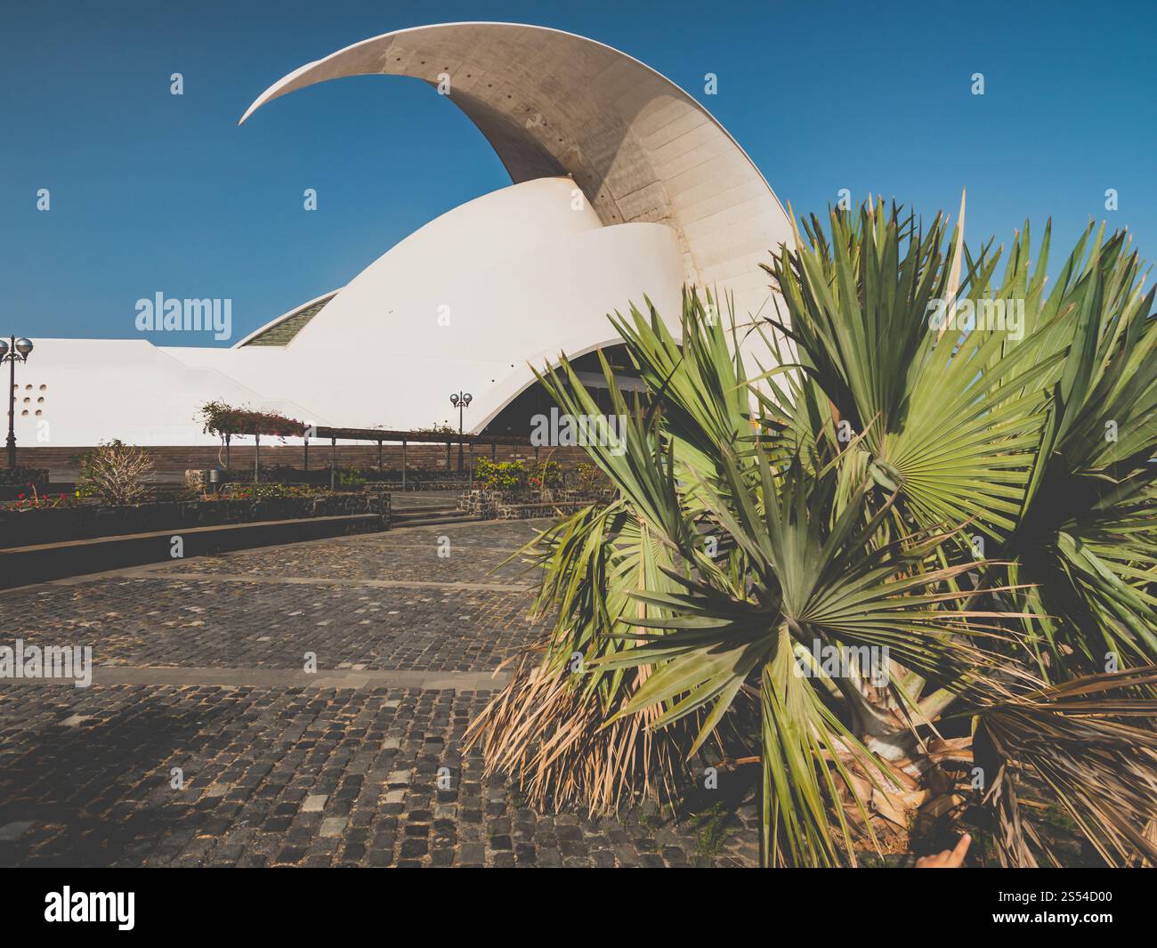 Photo tonifiée d'un bâtiment d'opéra moderne dans la ville de Santa Cruz de Tenerife, îles Canaries. Image tonifiée d'un bâtiment d'opéra moderne dans la ville de Santa Cruz Banque D'Images