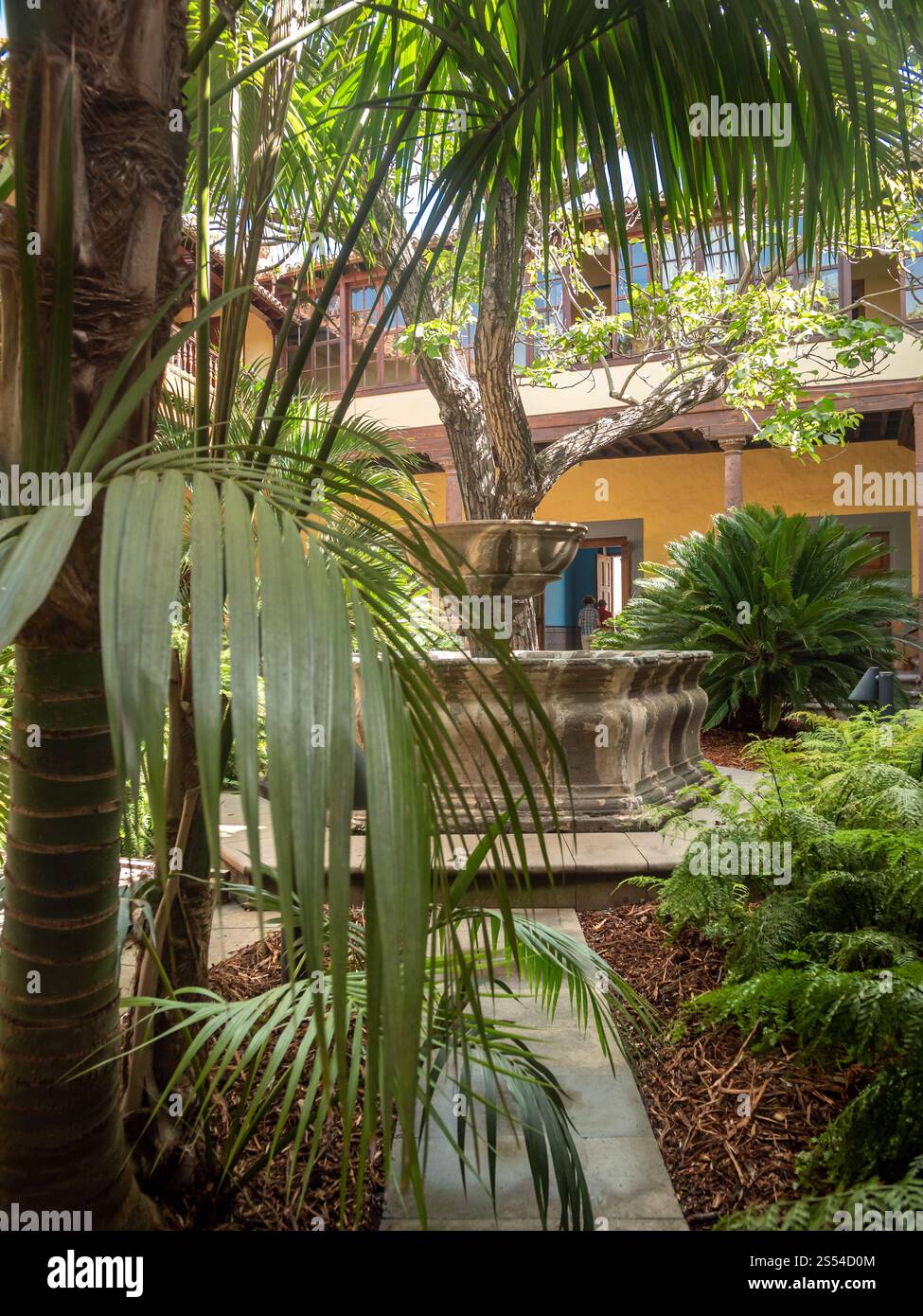 Belle photo de jardin traditionnel avec petite fontaine et jardin à la cour intérieure de la maison espagnole. Belle image de jardin traditionnel avec petit Banque D'Images