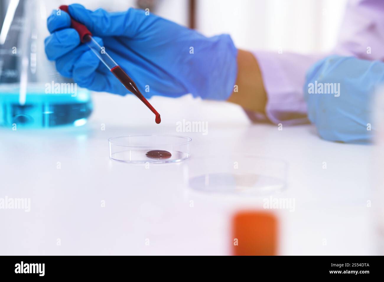 Scientifique tenant un tube de prélèvement sanguin infecté par le coronavirus covid-19. Analyse ADN du sang en laboratoire avec des tubes de prélèvement de sang et Banque D'Images