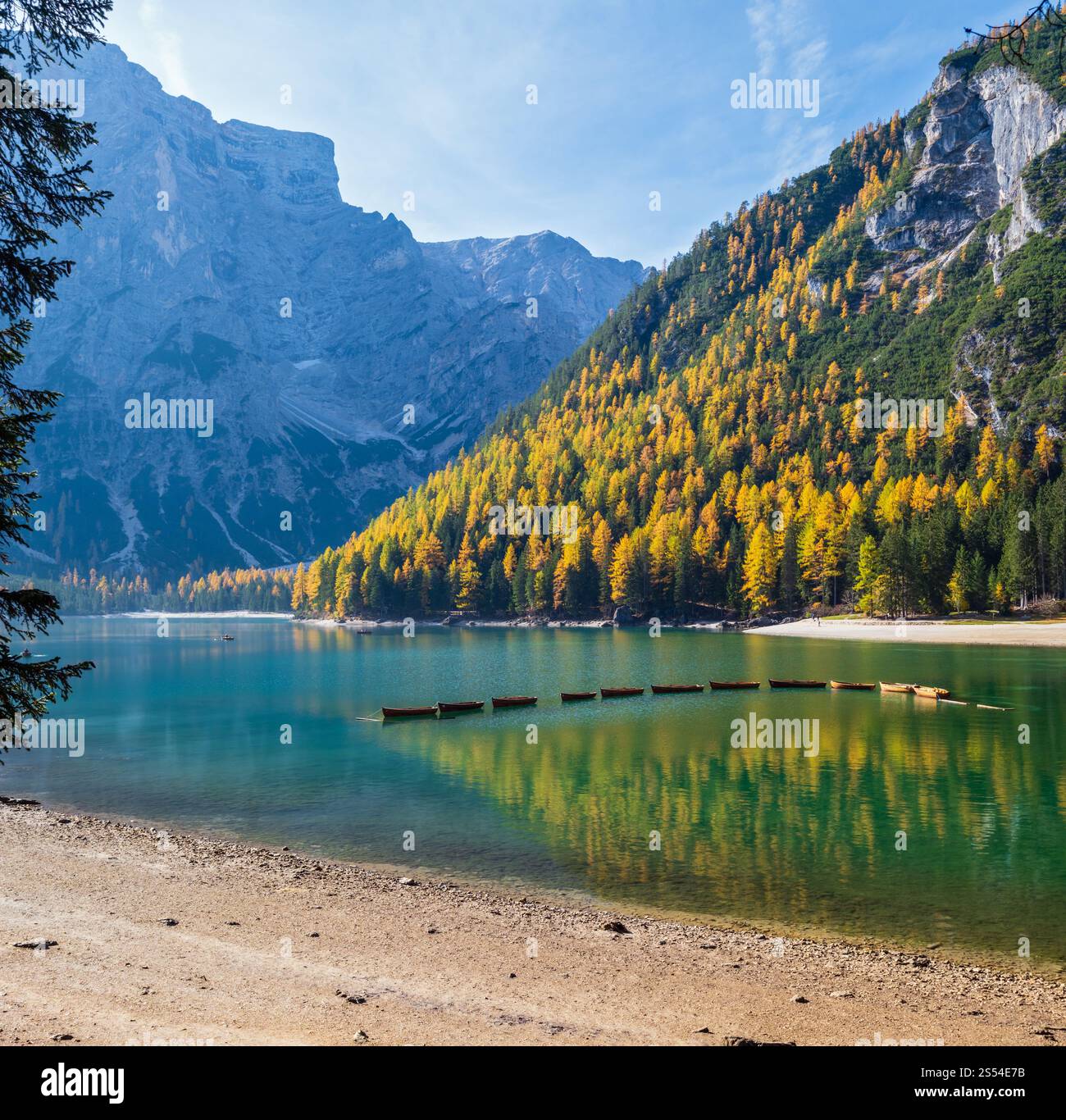 Automne paisible lac alpin Braies ou Pragser Wildsee. Dolomites Alpes, Italie, Europe. Des gens méconnaissables. Voyage pittoresque, saisonnier et Banque D'Images