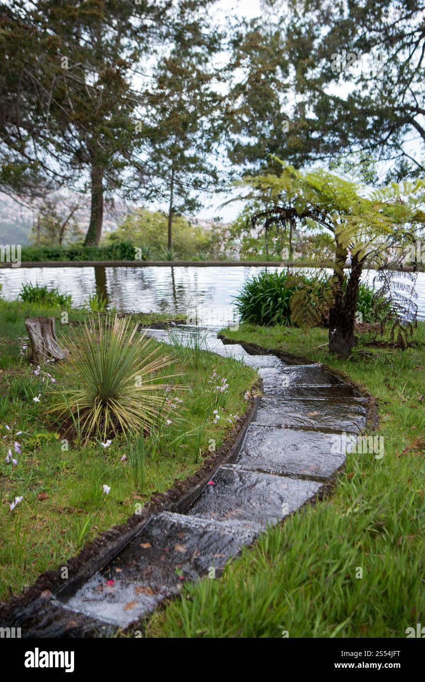 Un canal d'eau Lavada traditionnel à la Quinta jardins do Imperador sur la réouverture des jardins de l'empereur à Monte près du centre-ville de Banque D'Images Un canal d'eau Lavada traditionnel à la Quinta jardins do Imperador sur la réouverture des jardins de l'empereur à Monte près du centre-ville de Banque D'Images