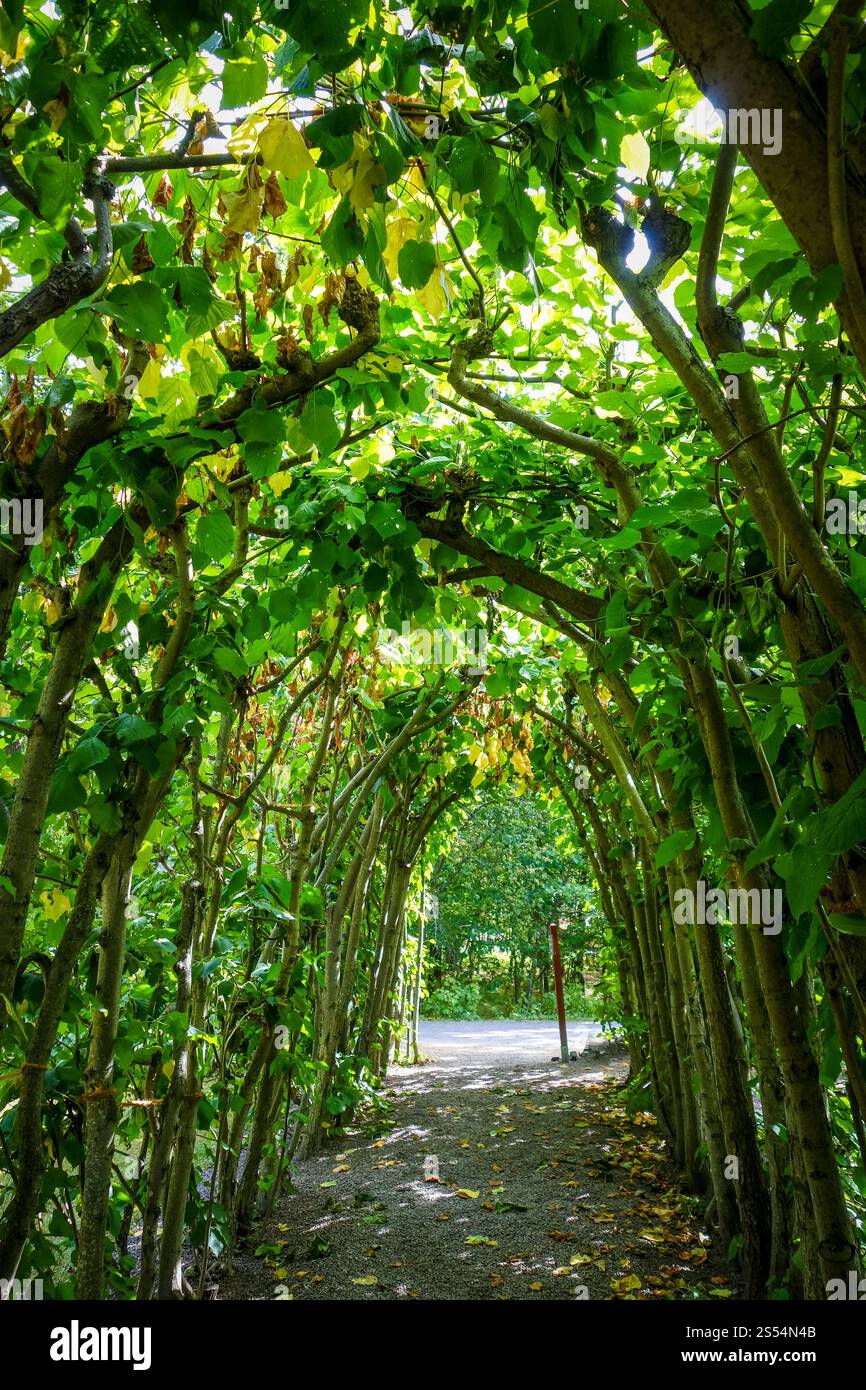Arc naturel vert dans un jardin de Stockholm, Suède. Arc naturel vert dans un parc de Stockholm, Suède Banque D'Images