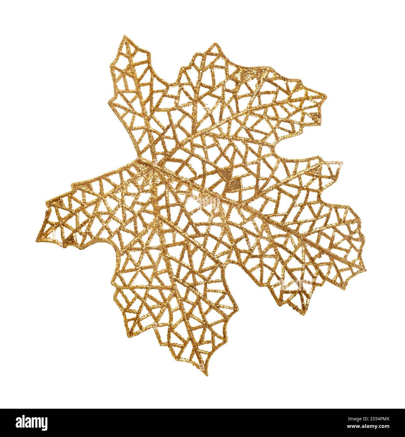 squelette plastique artificiel de feuille naturelle isolé sur fond blanc. squelette plastique artificiel de feuille isolé Banque D'Images