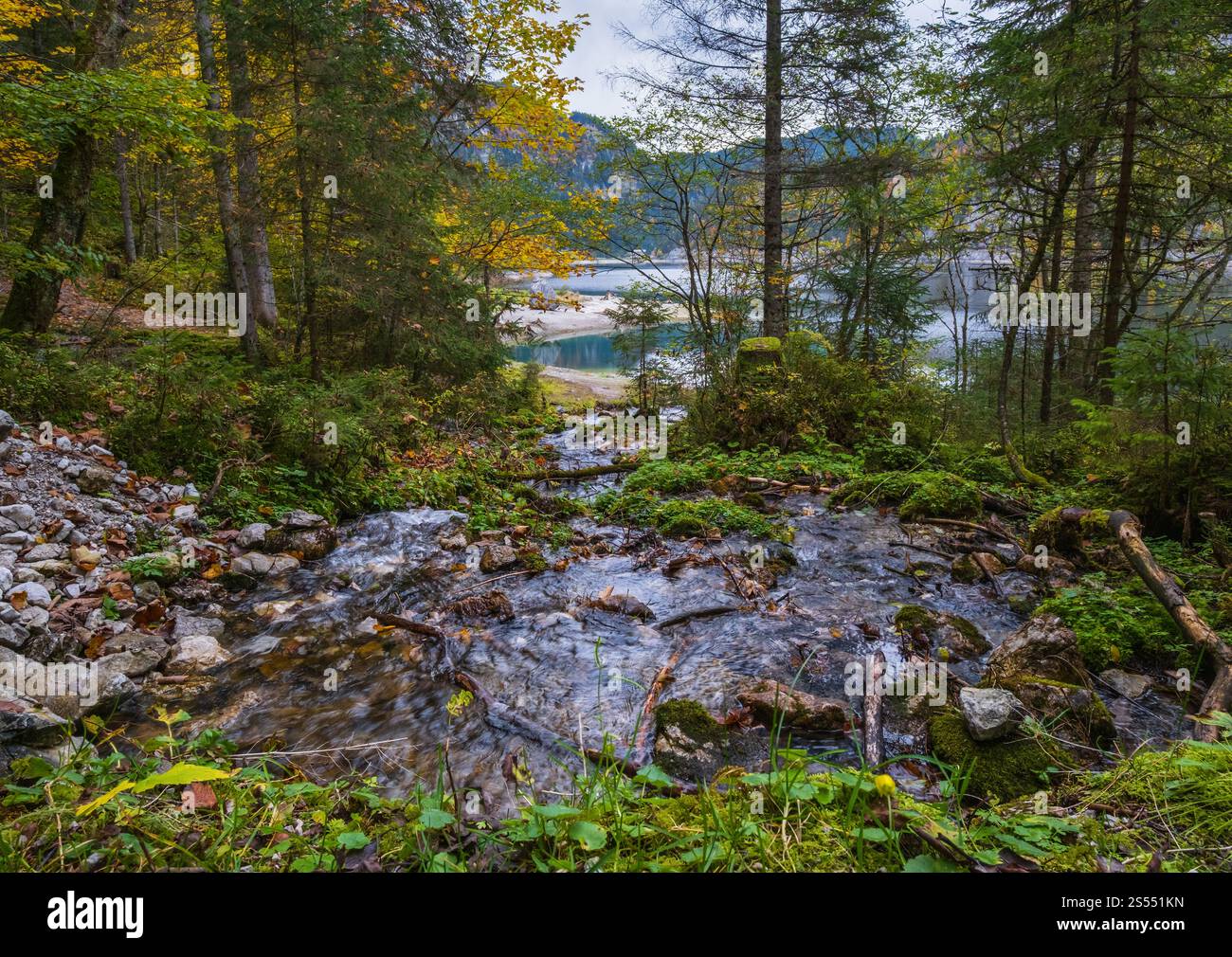 Vue sur les cours d'eau alpins en automne. Lac de montagne paisible avec eau transparente et reflets. Lac Gosausee ou Vorderer, haute-Autriche. Banque D'Images