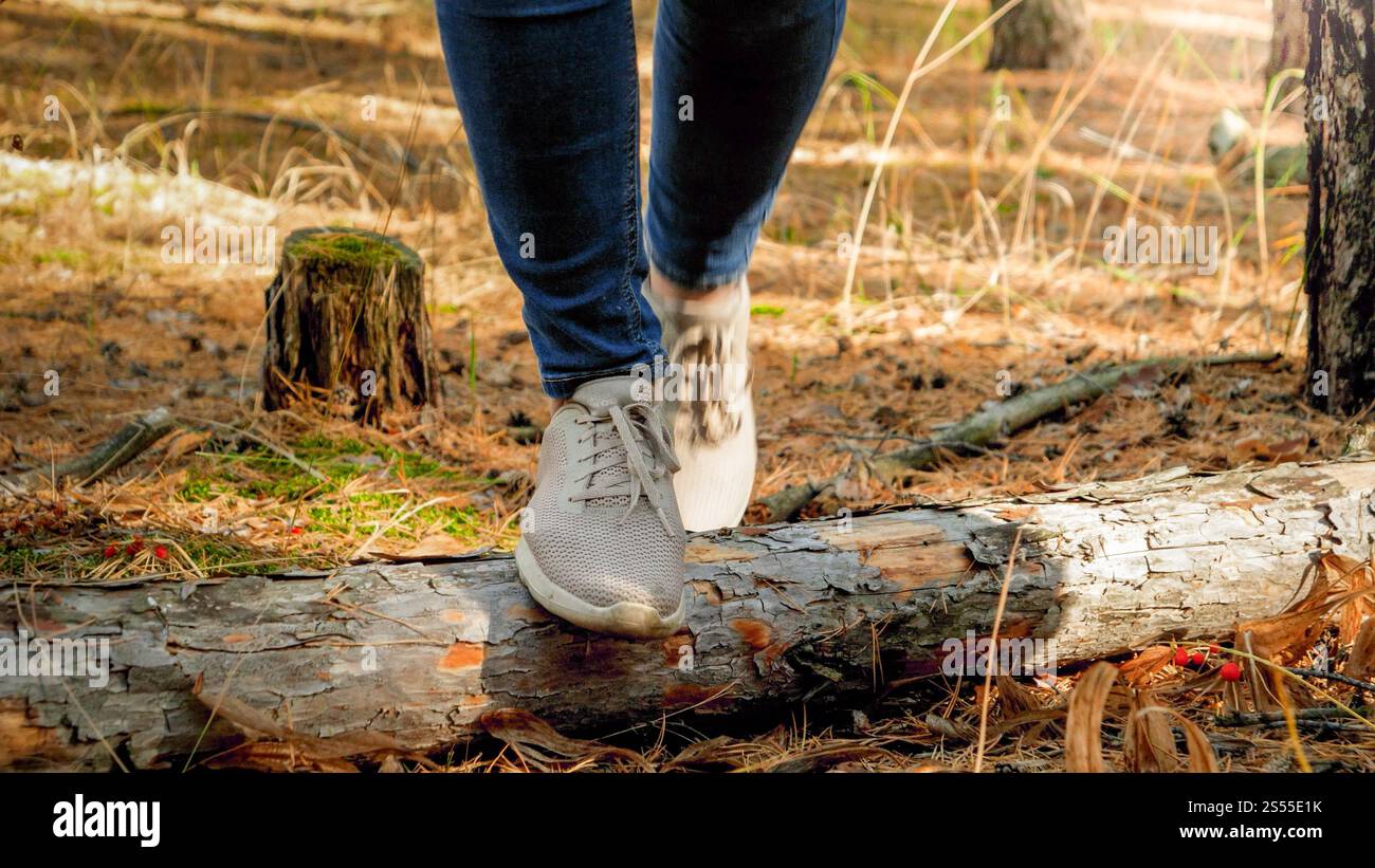 Pieds de randonneurs féminins marchant sur la bûche couchée sur le sol à la forêt. Pieds de randonneurs féminins marchant sur la bûche couchée sur le sol à la forêt Banque D'Images