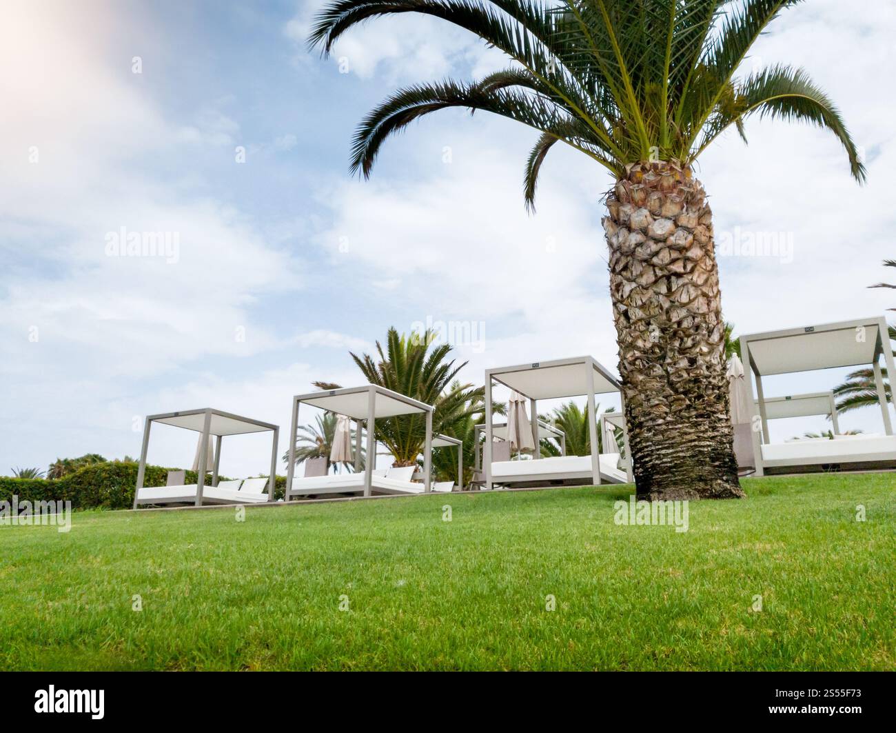 Belle photo de complexe luxueux avec transats en bois avec baldaquin sous les palmiers à la plage de l'océan. Belle image de complexe luxueux avec du bois Banque D'Images