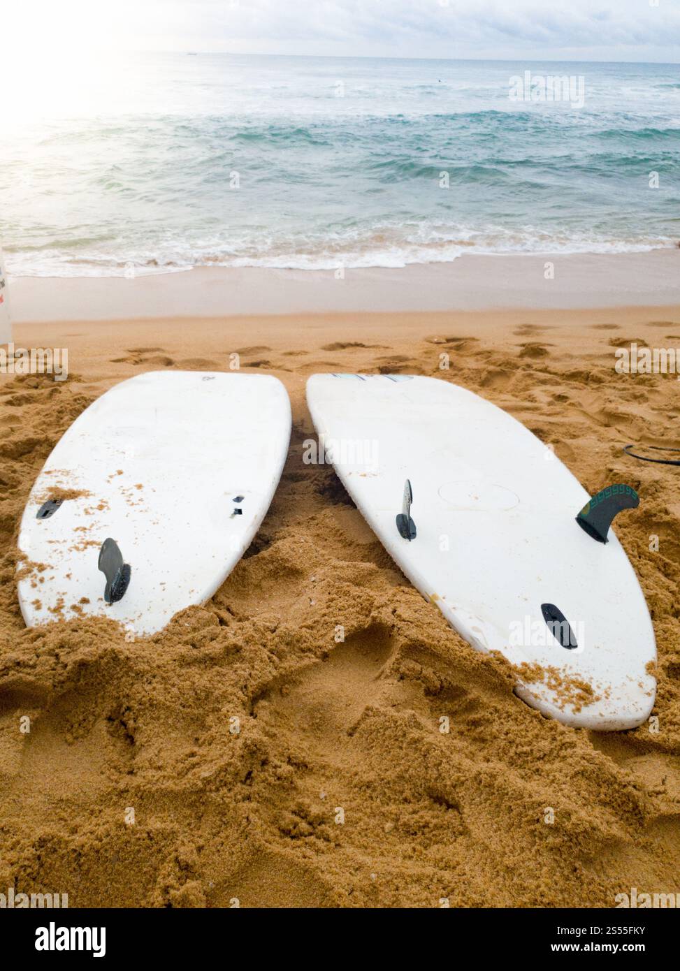 Gros plan photo de grandes et petites planches allongées sur le sable humide à la plage de la mer. Gros plan image de grandes et petites planches allongées sur le sable humide en mer Banque D'Images