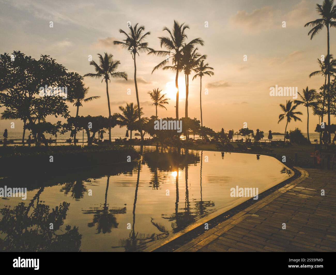Silhouettes de palmier se reflétant dans l'eau de la piscine au coucher du soleil. Belles silhouettes de palmier se reflétant dans l'eau de la piscine à Banque D'Images