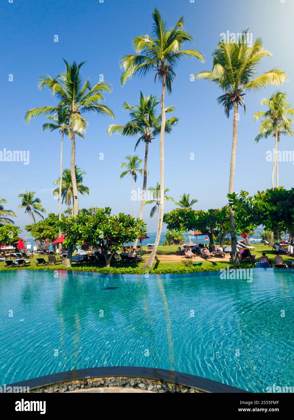 Belle photo de la piscine et des palmiers sur la station balnéaire de l'île tropicale à la belle journée ensoleillée. Belle image de piscine et de palmiers sur Banque D'Images