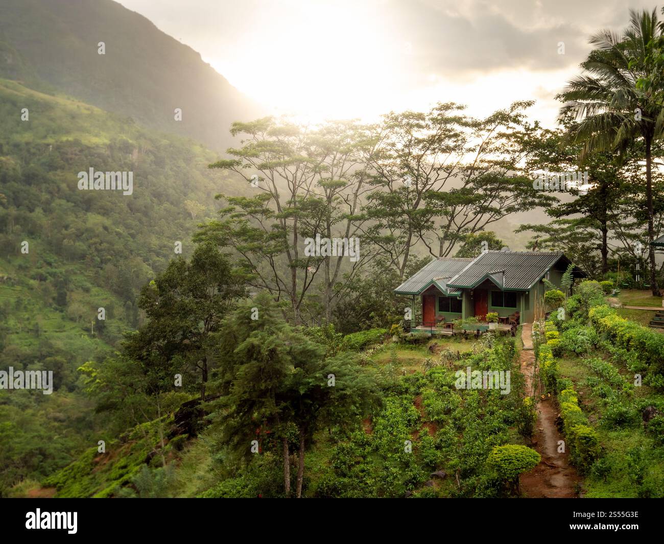 Belle petite maison sur la colline de montagne dans la forêt de jungle au lever du soleil. Belle petite maison en bois sur la colline de montagne dans la forêt de jungle au lever du soleil Banque D'Images