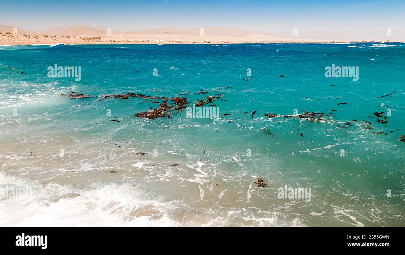 photo d'eau de mer sale avec des taches d'huile, du plastique et des ordures flottant à la surface. Concept d'écologie catastrophe et pollution de l'environnement et Banque D'Images