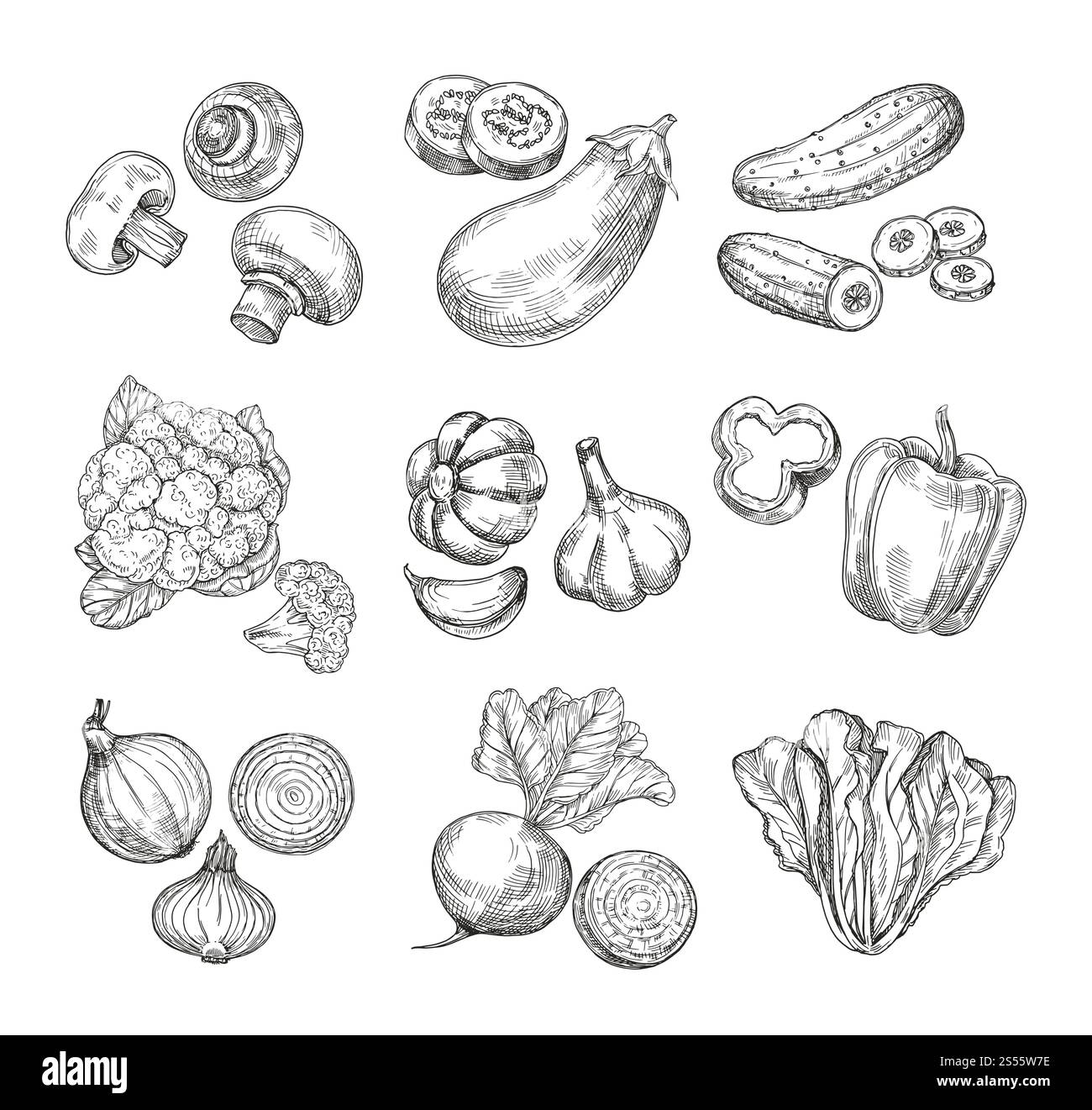 Légumes dessinés à la main. Chou-fleur de jardin, poivre et aubergine, champignons. Produits frais végétaliens. Esquissez un ensemble isolé de vecteur végétal. Illustration de champignon et concombre, chou et champignon. Légumes dessinés à la main. Chou-fleur de jardin, poivre et aubergine, champignons. Produits frais végétaliens. Esquissez un ensemble isolé de vecteur végétal Illustration de Vecteur