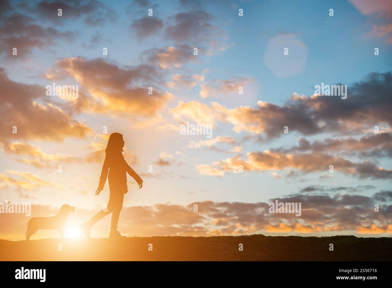 Silhouette d'une jeune femme marchant avec son chien au coucher du soleil. Banque D'Images