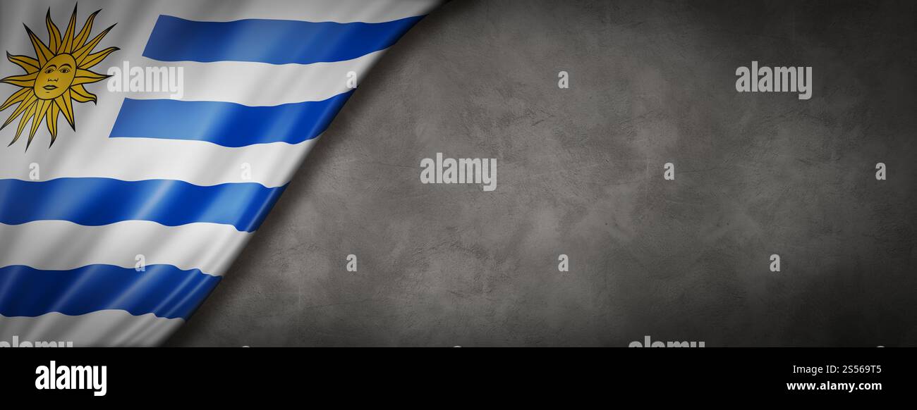 Drapeau de l'Uruguay sur le mur de béton. Bannière panoramique horizontale. Illustration 3D. Drapeau uruguayen sur la bannière murale en béton Banque D'Images