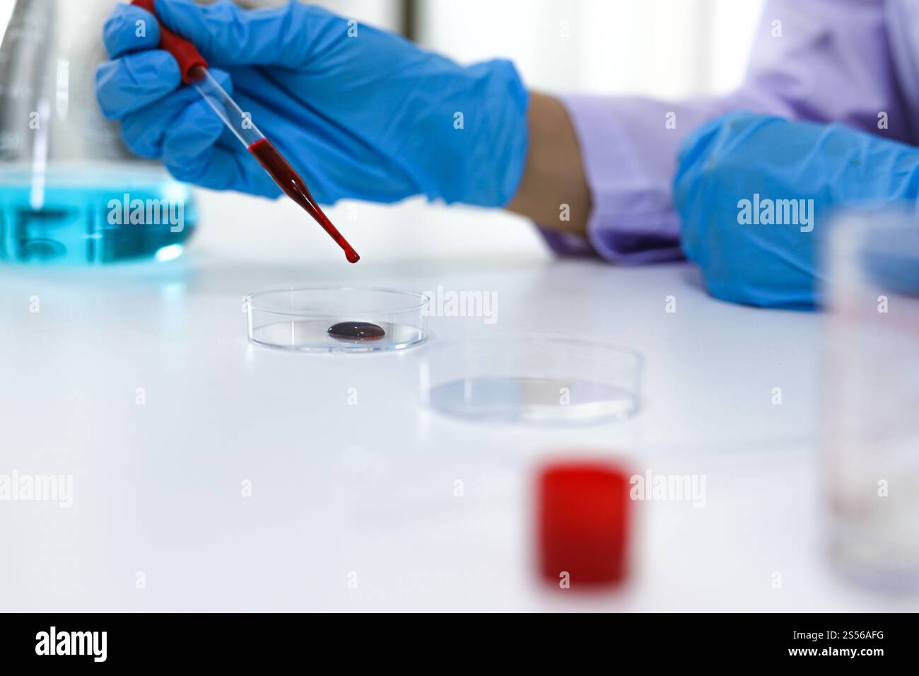 Scientifique tenant un tube de prélèvement sanguin infecté par le coronavirus covid-19. Analyse ADN du sang en laboratoire avec des tubes de prélèvement de sang et Banque D'Images