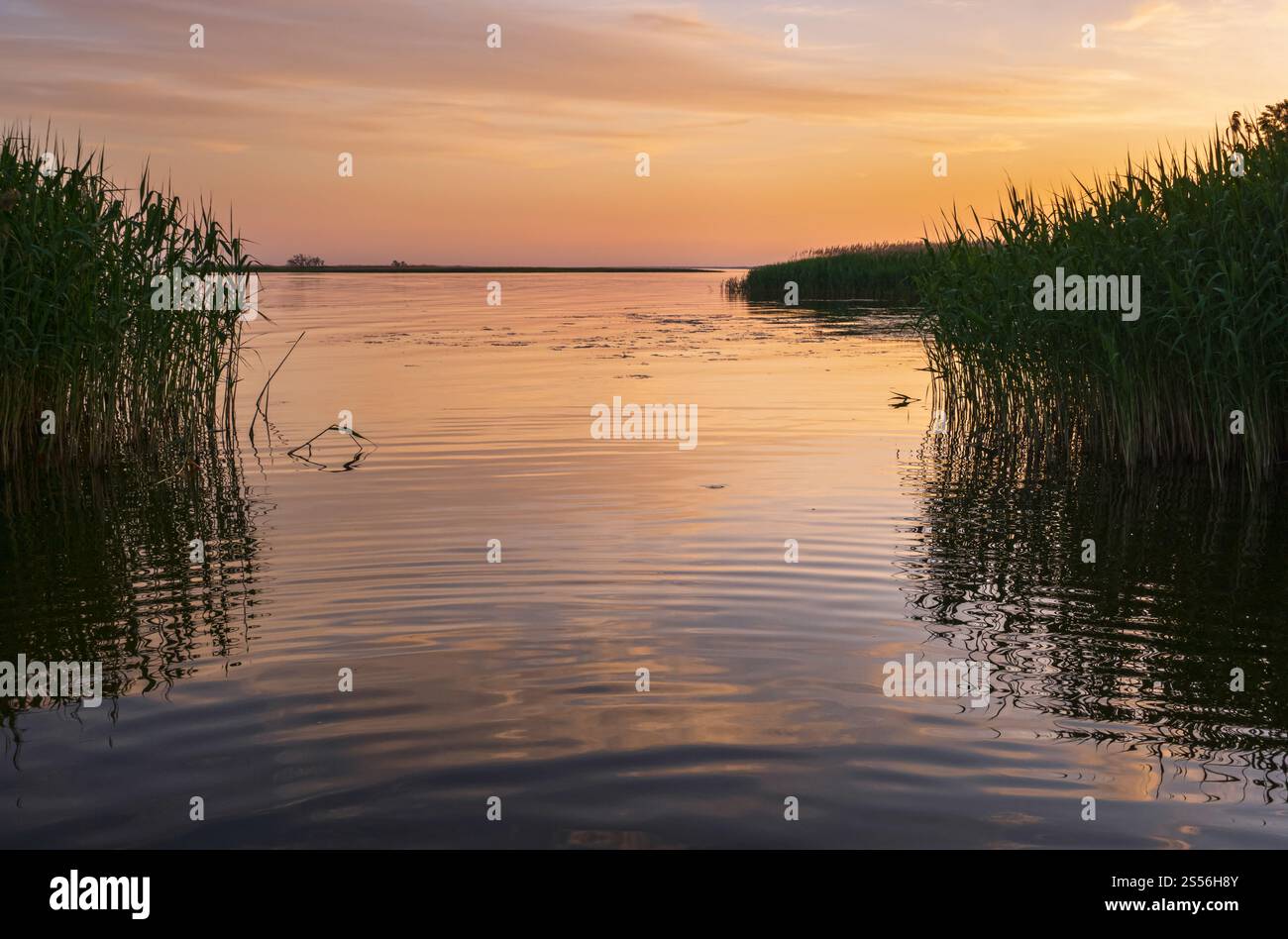 Dnipro rivière été coucher de soleil paysage crépuscule, Ukraine Banque D'Images