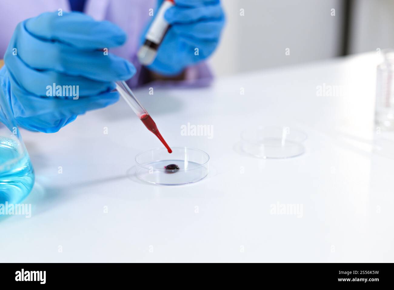 Scientifique tenant un tube de prélèvement sanguin infecté par le coronavirus covid-19. Analyse ADN du sang en laboratoire avec des tubes de prélèvement de sang et Banque D'Images
