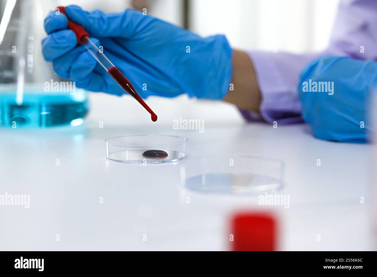 Scientifique tenant un tube de prélèvement sanguin infecté par le coronavirus covid-19. Analyse ADN du sang en laboratoire avec des tubes de prélèvement de sang et Banque D'Images