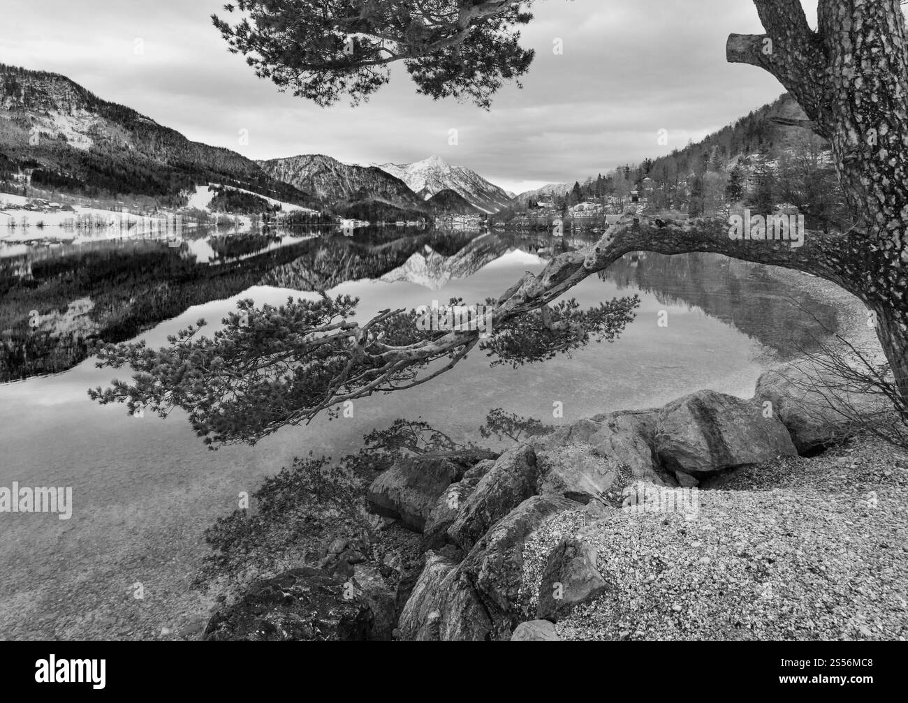 Niveaux de gris. Nuageux hiver lac alpin Grundlsee vue (Autriche) avec motif-réflexion fantastique sur la surface de l'eau et pin sur le rivage. Banque D'Images