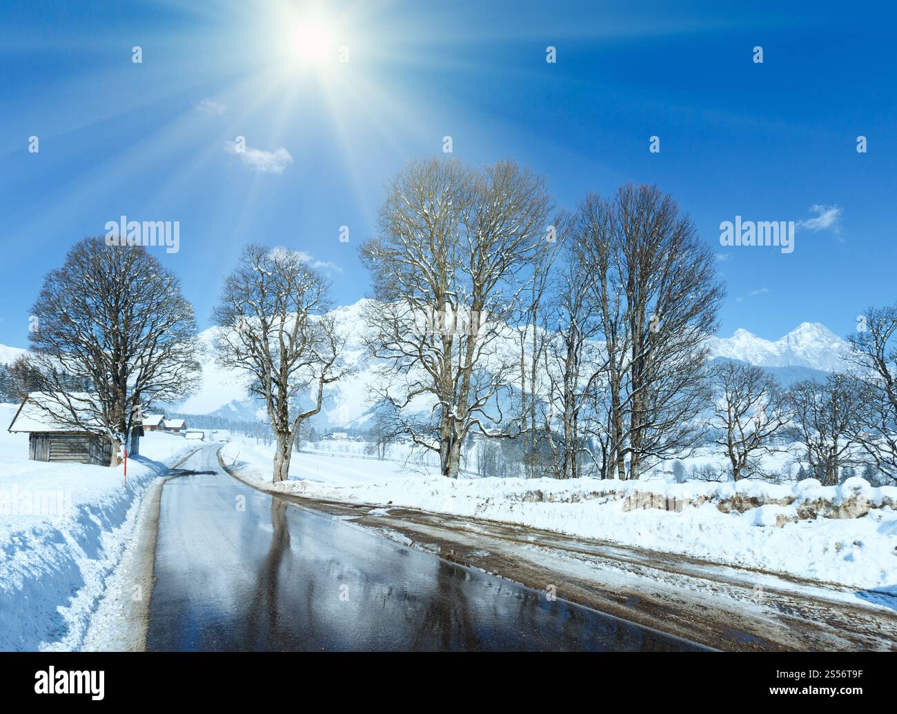 Soleil du printemps et route à travers le village alpin en Autriche avec la réflexion des arbres dans la fonte de la neige. Banque D'Images