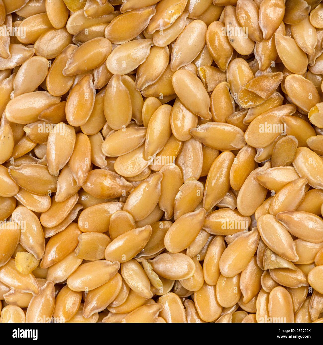 fond carré de nourriture - graines de lin doré gros plan Banque D'Images