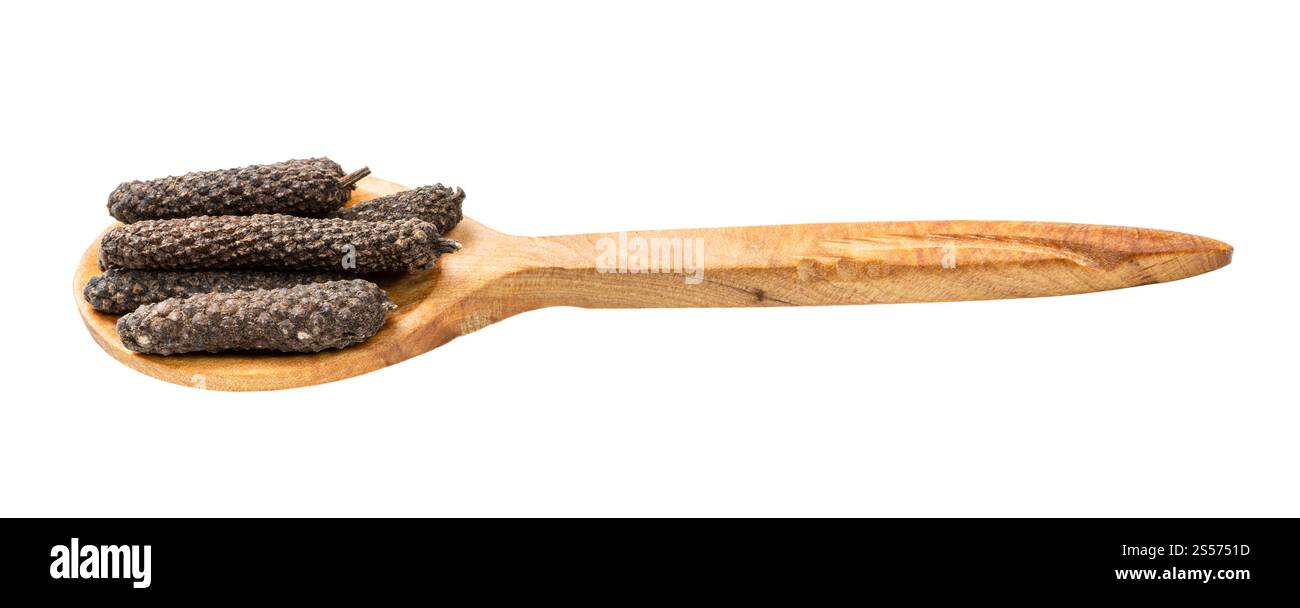 cuillère en bois avec longs poivrons java isolés sur fond blanc Banque D'Images